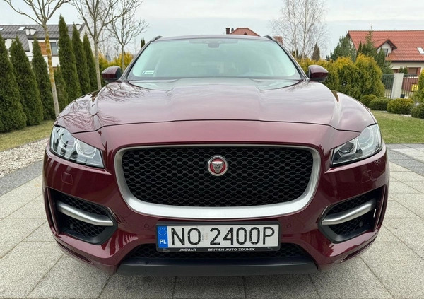 Jaguar F-Pace cena 125000 przebieg: 78600, rok produkcji 2016 z Olsztyn małe 106